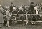 Tripura Maharaja Attends Historic Parade in London: A Glimpse into 1930 Royal Diplomacy