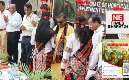 Tripura Hosts Its First-Ever Pineapple Festival in Kumarghat