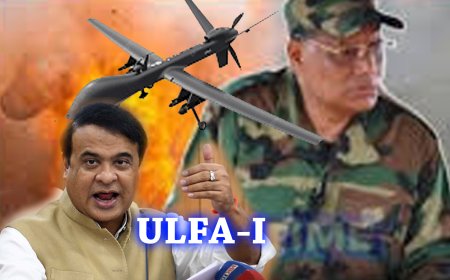 Drone Strikes Reportedly Hit ULFA-I Camps Along Myanmar Border, Top Leaders Killed