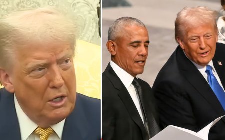Trump Accuses Obama of Orchestrating 2016 Election Interference