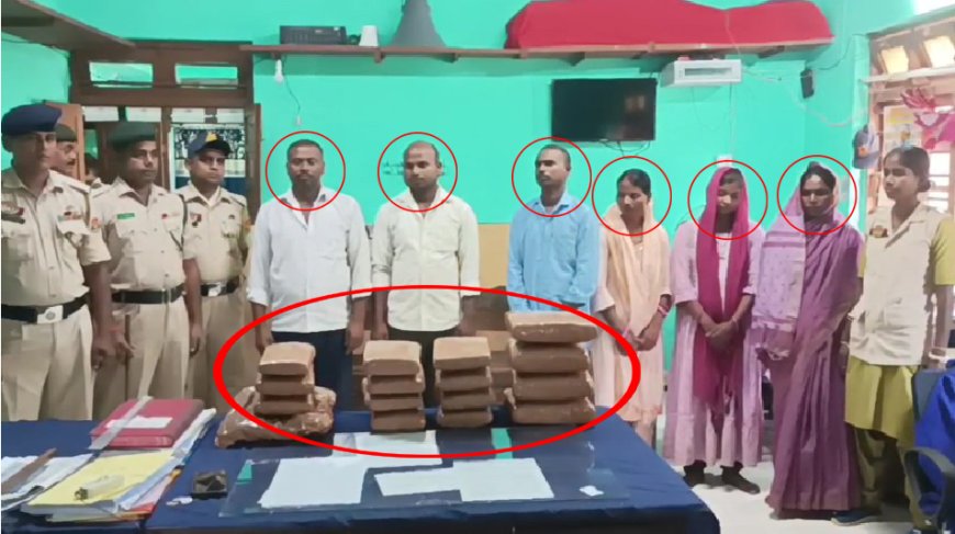 Major Drug Bust in Tripura: 7 Ganja Smugglers from Bihar Nabbed with 20 Kg Cannabis in Kalyanpur