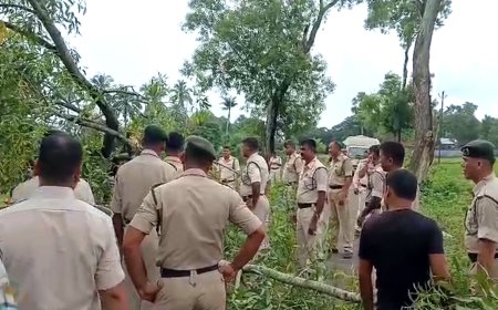 Fallen Tree Blocks Gholaghati–Jampuijala Road, Locals and TSR Forced to Act