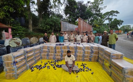 Cough Syrup Worth ₹1.08 Crore Seized in Assam; Lorry Driver Arrested
