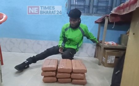 Ambassa Police Seize 13.5 Kg of Cannabis in Successful Anti-Drug Operation