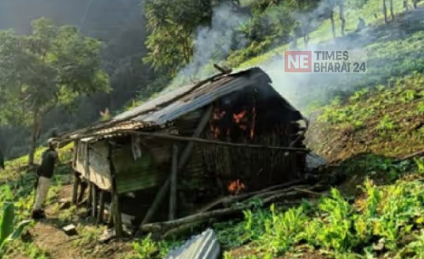 Security Forces Destroy 54 Acres of Illegal Poppy Plantations in Manipur’s Kangpokpi District