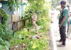 Unidentified Man Found Dead in Khowai Lalchhara