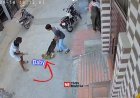 Six-Month-Old Baby Critically Injured in Pit Bull Attack in Sonipat