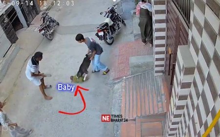 Six-Month-Old Baby Critically Injured in Pit Bull Attack in Sonipat