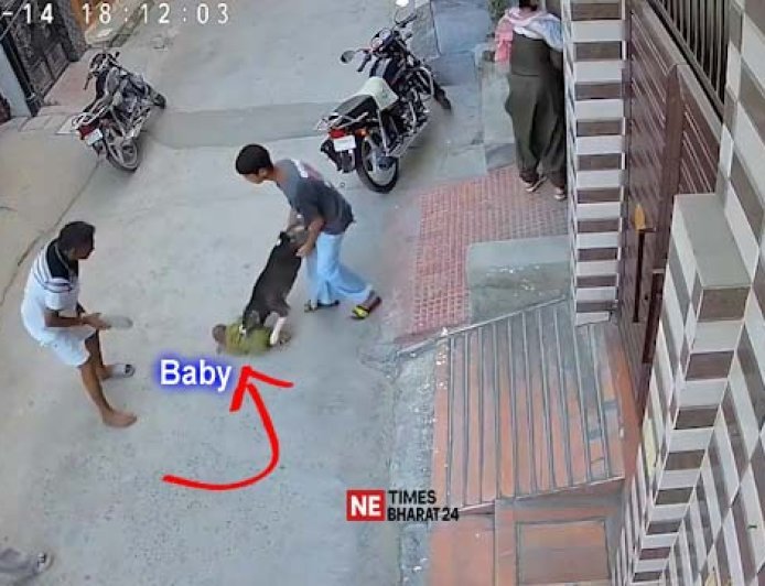 Six-Month-Old Baby Critically Injured in Pit Bull Attack in Sonipat