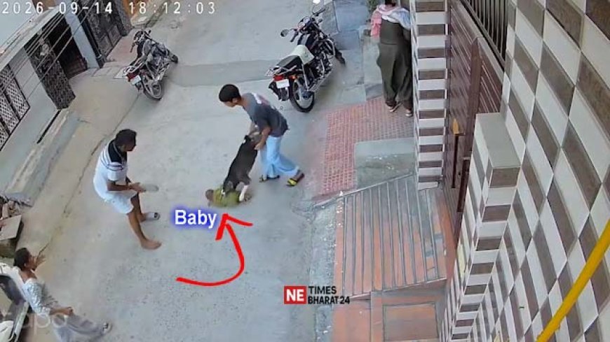 Six-Month-Old Baby Critically Injured in Pit Bull Attack in Sonipat