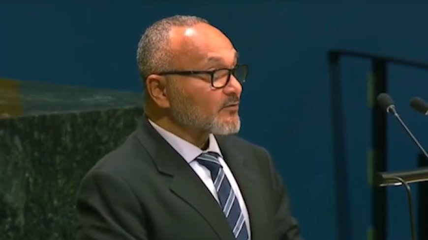 Solomon Islands PM Calls for Grant-Based Climate Finance at UN