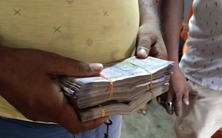 Auto Driver Wins Praise for Returning Lost Cash Bag in Udaipur