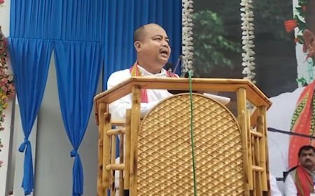 Sanjoy Manik Tripura Submits Development Proposal for Dumbur Hydro Project to Power Minister Ratan Lal Nath