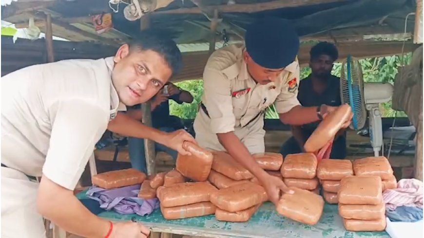 Kamalpur Police Recover Nearly 30 Kg Cannabis During Naka Checking